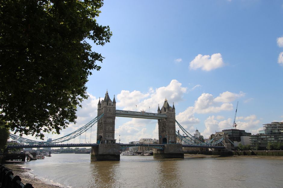 A wide-angle view of the Tower Bridge over the River Thames in London on a bright day with a partly cloudy sky. The bridge's two iconic towers with pointed turrets are connected by a high-level suspension span, featuring blue and white accents. In the foreground, a large leafy tree partially frames the left side of the scene, with the riverbank and paved walkway visible at the base. The water of the Thames appears calm, reflecting the sky and bridge. To the right, modern buildings and a construction crane are visible along the riverbank. This scene reflects the iconic London skyline, relevant to house removals and relocation services involving the Tower Hamlets area, specifically during E14 moves affected by parking suspensions as detailed on the associated page. Man With a Van Poplar operates within this environment, supporting home relocation and furniture transport processes in the area.