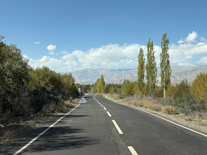 A straight rural road with a dark asphalt surface, marked with white dashed lines in the centre and white solid lines along the edges, stretches into the distance under a partly cloudy sky. On the left side of the road, there are dense bushes and small trees casting shadows onto the pavement. To the right, there are taller, slender trees with yellow and green leaves, indicating a transition into autumn. The landscape features arid terrain with low shrubbery and rocky ground, set against a backdrop of distant mountains with rugged peaks. The scene appears to illustrate a peaceful, remote area suitable for a home relocation or moving logistics, as seen in professional removals by companies like Man With a Van Poplar, which often handle house and furniture transport during local and long-distance moves.