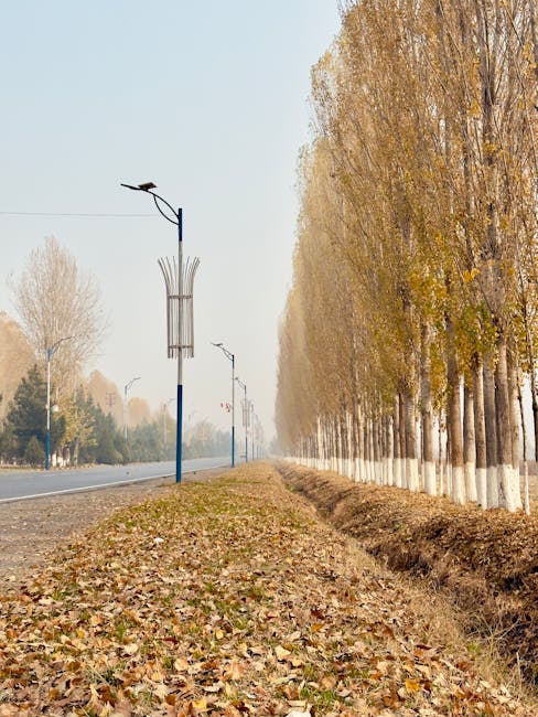 A straight, tree-lined street in autumn with tall, leafless trees on the right side, their branches and trunks painted white at the base, and a row of streetlights along the road. The streetlights have black lamp heads mounted on blue poles, some with solar panels attached. Fallen leaves cover the pavement and verge area, creating a colorful, textured ground. In the background, a vanishing point perspective is visible with the street extending into the distance, slightly obscured by light mist or fog. The scene appears quiet and calm, set during daytime with soft, diffuse lighting, and is captured in a neutral, factual style suitable for content related to house removals or moving logistics, as shown on the website manwithvanpoplar.co.uk for the page 'What to Do When Bulky Waste Isn't Collected in Poplar'.